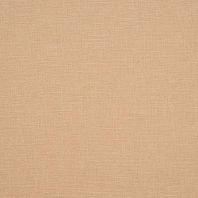 #C2-11 Canvas